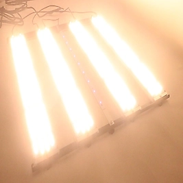 350W Full Spektrum Bitki Yetiştirme Lambası | Samsung LM281B - Bloomberry