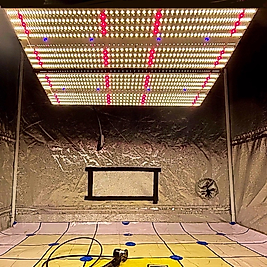 480W Samsung EVO Quantum Board Bitki Yetiştirme Lambası | Full Spectrum LED Grow Light UV IR Switch