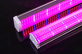 Full Spectrum LED Bitki Yetiştirme Lambası – Meyve İçin Özel Spektrum
