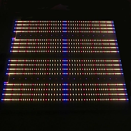 480W Quantum Board Bitki Yetiştirme Lambası | Samsung LM301H - Bloomberry