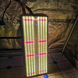 Samsung LM301H EVO 240W Quantum Board - Osram Red, LG UV & IR Full Spectrum LED Grow Light