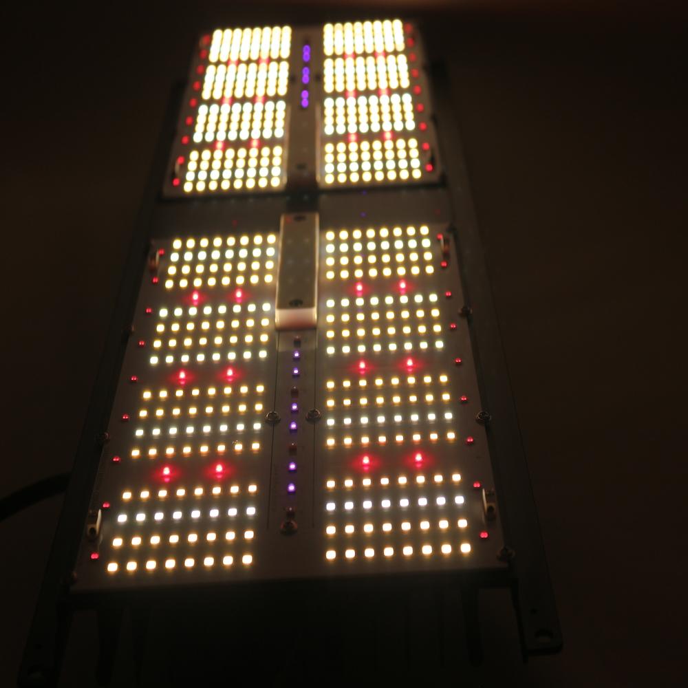 250W Bavagreen Pro+ EVO Smart LED | Samsung LM301H EVO - Bloomberry