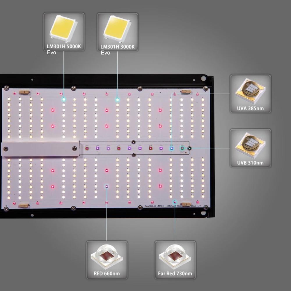 250W Bavagreen Pro+ EVO Smart LED | Samsung LM301H EVO - Bloomberry