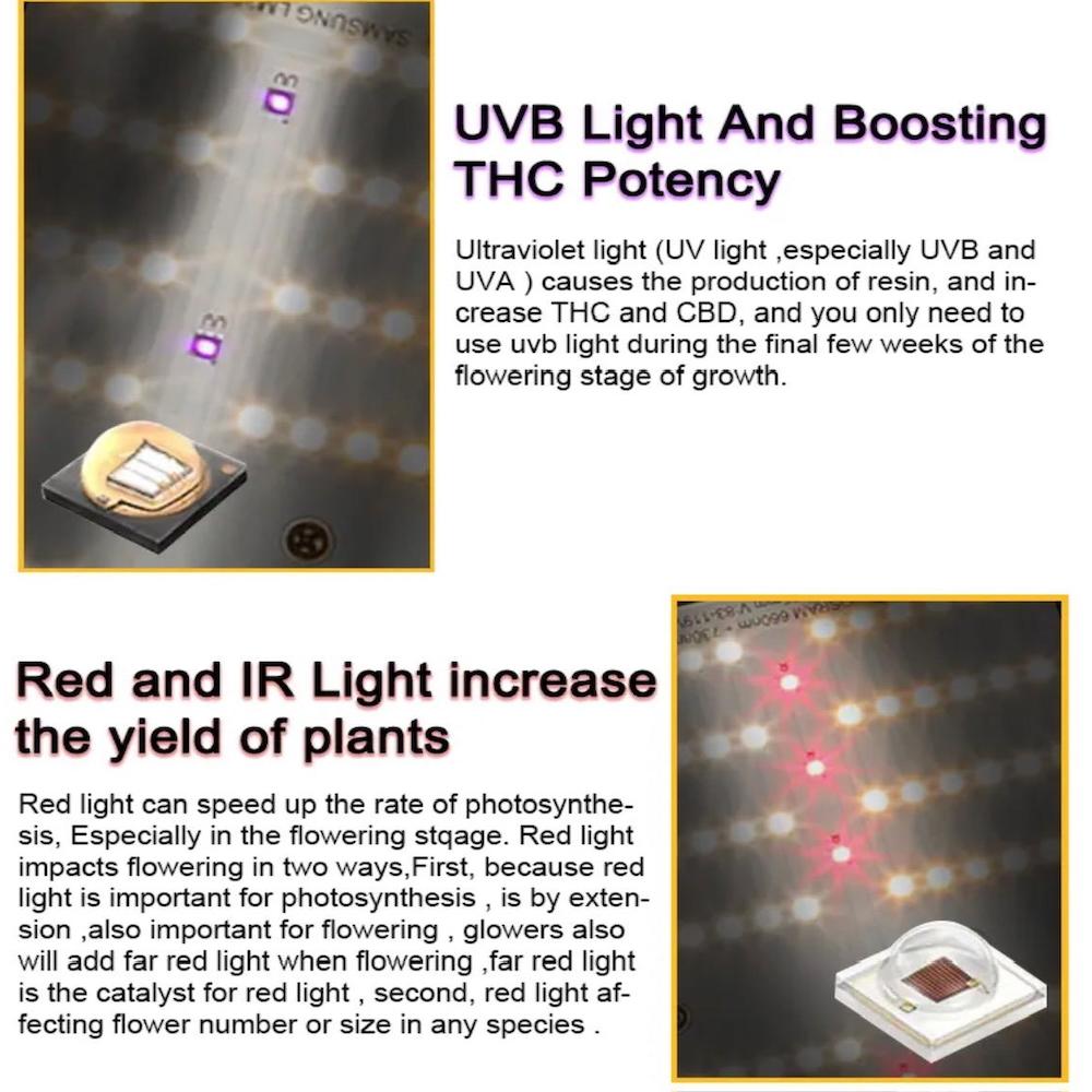 250W Bavagreen Pro+ EVO Smart LED | Samsung LM301H EVO - Bloomberry